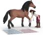 Preview: Schleich HORSE CLUB Pferdeklinik Heilende Hufe Set 64 Teile 42787