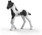 Preview: Schleich HORSE CLUB Sammelfohlen Rocky Einzelfigur 81481