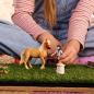 Preview: Schleich HORSE CLUB Emily's Pflegeset Set 15 Teile 42797