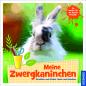 Preview: Artikelbild