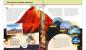 Preview: Ravensburger Buch Wieso? Weshalb? Warum? ProfiWissen Die Erde Band 1 32718