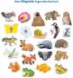 Preview: Ravensburger Buch Pappbilderbuch Mitmachen Mein großes Magnetbuch Wer wohnt wo? 42150