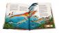 Preview: Ravensburger tiptoi Buch Expedition Wissen Dinosaurier 55399