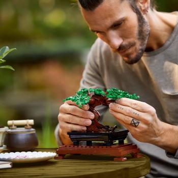 LEGO® Botanicals Bonsai Baum 878 Teile 10281