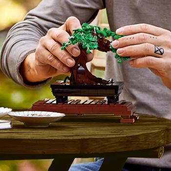 LEGO® Botanicals Bonsai Baum 878 Teile 10281