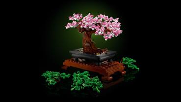 LEGO® Botanicals Bonsai Baum 878 Teile 10281