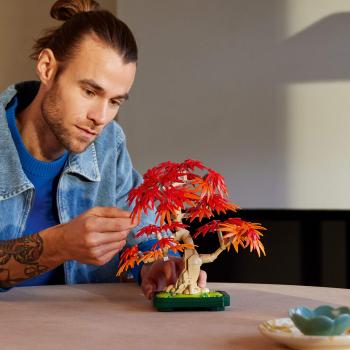 LEGO® Botanicals Japanischer Roter Ahorn - Bonsai-Baum 474 Teile 10348