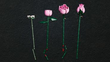 LEGO® Botanicals Rosa Rosenstrauß 789 Teile 10374