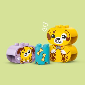 LEGO® DUPLO® Formsortierer: Welpenhaus 17 Teile 10441