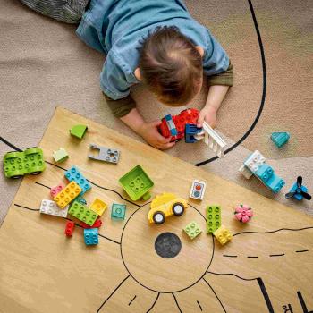 LEGO® DUPLO® Kreative Fahrzeuge 42 Teile 10474