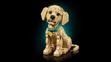 Preview: LEGO® Icons Golden Retriever Welpe 2102 Teile 11384