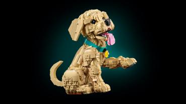 LEGO® Icons Golden Retriever Welpe 2102 Teile 11384
