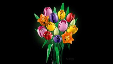 Preview: LEGO® Botanicals Tulpenstrauß 576 Teile 11501