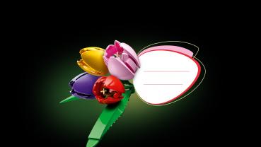 LEGO® Botanicals Tulpenstrauß 576 Teile 11501