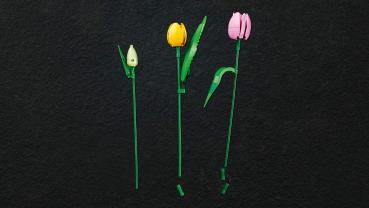 LEGO® Botanicals Tulpenstrauß 576 Teile 11501