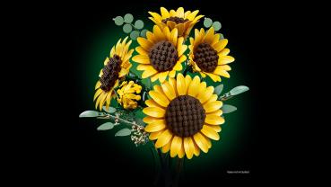 Preview: LEGO Botanicals Sonnenblumen 686 Teile 11502