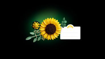 LEGO Botanicals Sonnenblumen 686 Teile 11502