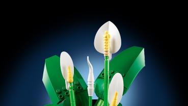LEGO® Botanicals Friedenslilie 474 Teile 11504
