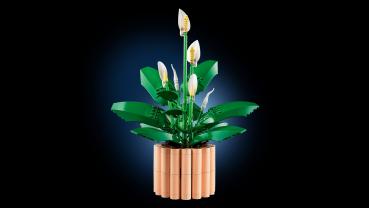LEGO® Botanicals Friedenslilie 474 Teile 11504