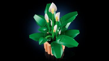 LEGO® Botanicals Friedenslilie 474 Teile 11504
