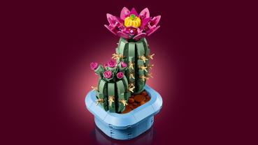 Preview: LEGO® Botanicals Blühender Kaktus 482 Teile 11509