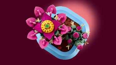 LEGO® Botanicals Blühender Kaktus 482 Teile 11509
