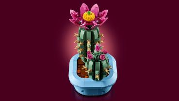 LEGO® Botanicals Blühender Kaktus 482 Teile 11509