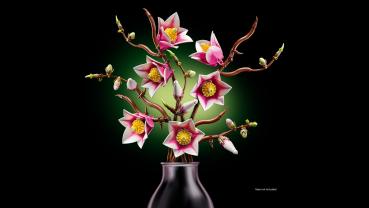 Preview: LEGO Botanicals Magnolienzweige 435 Teile 11510