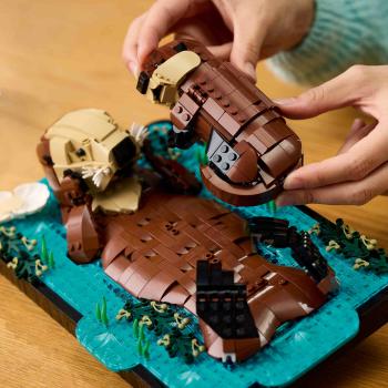 LEGO® Ideas Schwimmende Otter 1234 Teile 21366