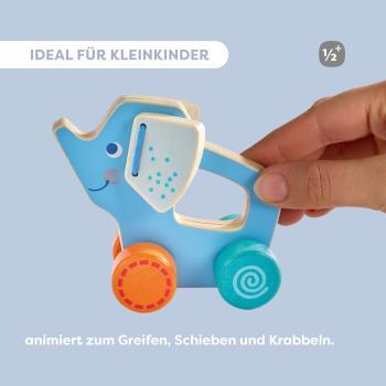 Haba Babywelt Schiebefigur Ente 2013417001