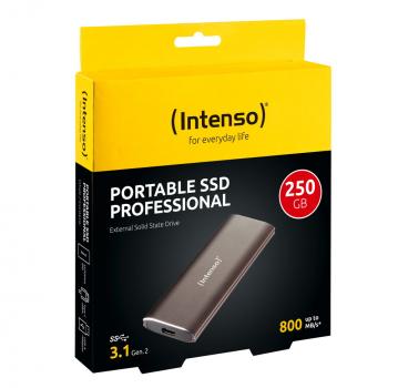 Intenso SSD externe Festplatte Professional 1,8 Zoll 250GB Typ C USB 3.1 braun-metallic