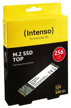 Intenso SSD M.2 2280 interne Festplatte Top Performance 3D Nand 256GB