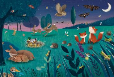 Preview: 3 x 24 Teile Schmidt Spiele Kinder Puzzle Wald & Wiesentiere 56581