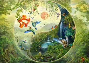 1000 Teile Schmidt Spiele Puzzle Silvia Christoph Yin & Yang Im Wald der Kolibris 58595