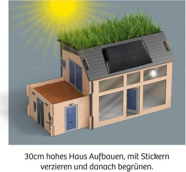 Preview: Kosmos Experimentieren Physik Eco Haus 621070