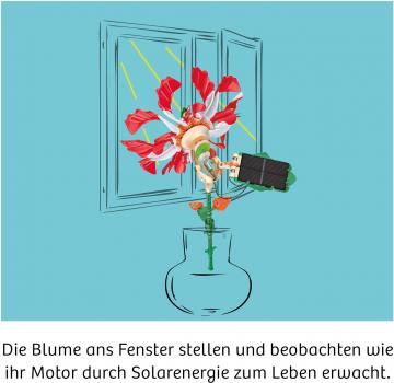 Preview: Kosmos Experimentieren Physik Solar-Flower 621476