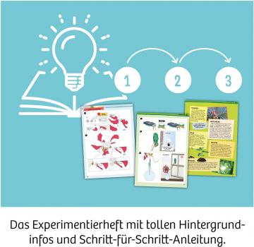 Kosmos Experimentieren Physik Solar-Flower 621476