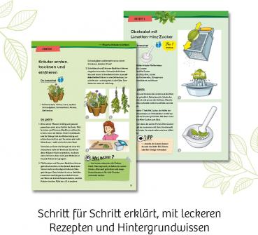 Kosmos Experimentieren Natur Kräutergarten 632090