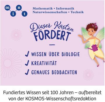 Kosmos Experimentieren Girls Feen-Garten 632144