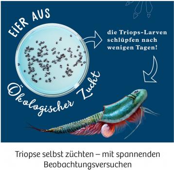 Preview: Kosmos Experimentieren Urzeitkrebse Triops-Welt 633073