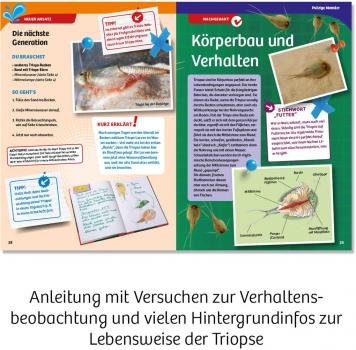 Kosmos Experimentieren Urzeitkrebse Triops-Welt 633073
