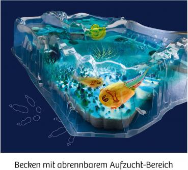 Preview: Kosmos Experimentieren Fun Science Fun Science Triops züchten 637231