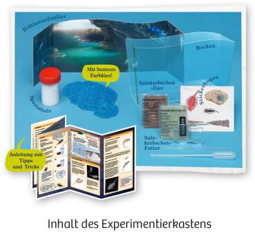 Preview: Kosmos Experimentieren Fun Science Fun Science Wuselnde Salzkrebse 654160