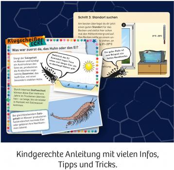 Kosmos Experimentieren Fun Science Wuselnde Salzkrebse 654160