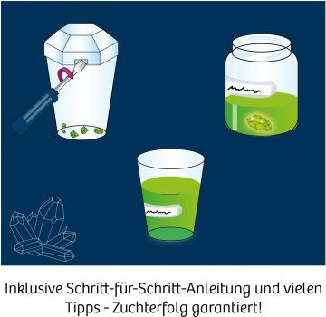 Preview: Kosmos Experimentieren Kristalle & Mineralien Überraschungs-Kristalle selbst züchten 656096