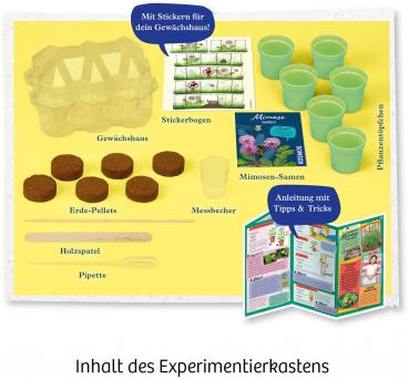 Preview: Kosmos Experimentieren Natur Mimosen-Garten 657802