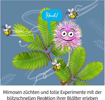 Preview: Kosmos Experimentieren Natur Mimosen-Garten 657802