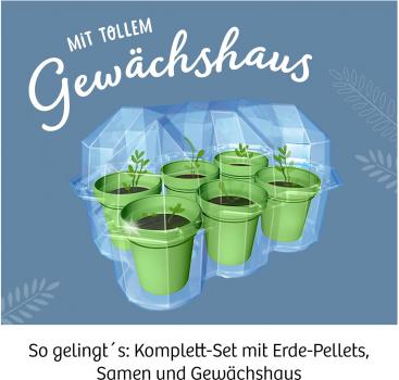 Kosmos Experimentieren Natur Mimosen-Garten 657802