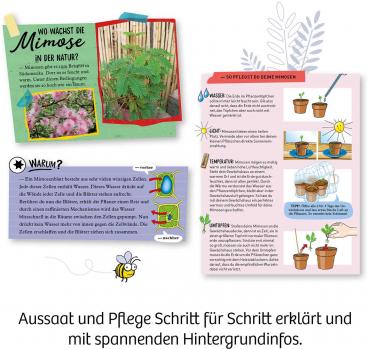 Kosmos Experimentieren Natur Mimosen-Garten 657802