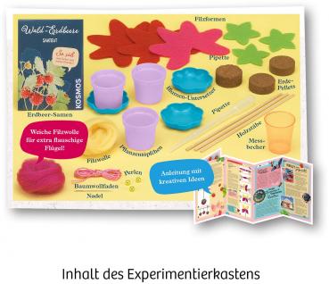 Preview: Kosmos Experimentieren Girls Feen-Erdbeeren 657819